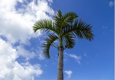自然の音に包まれる静かな滞在空間